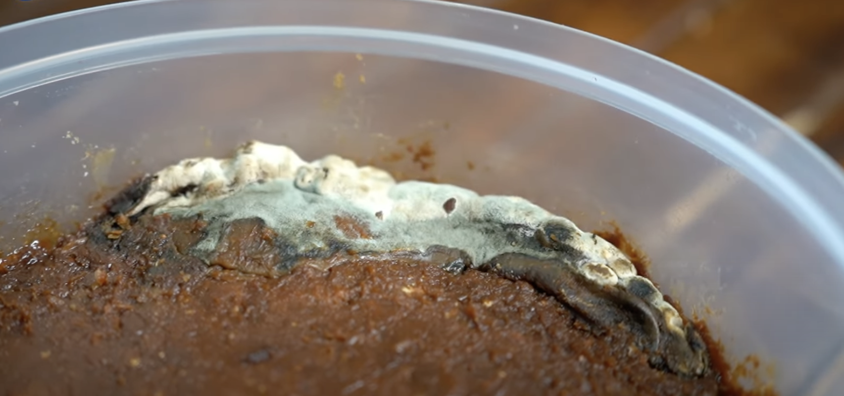 発酵食品のカビ見分け方完全ガイド|食べられるカビと危険なカビを科学的に判断 | 生命科学と発酵の世界