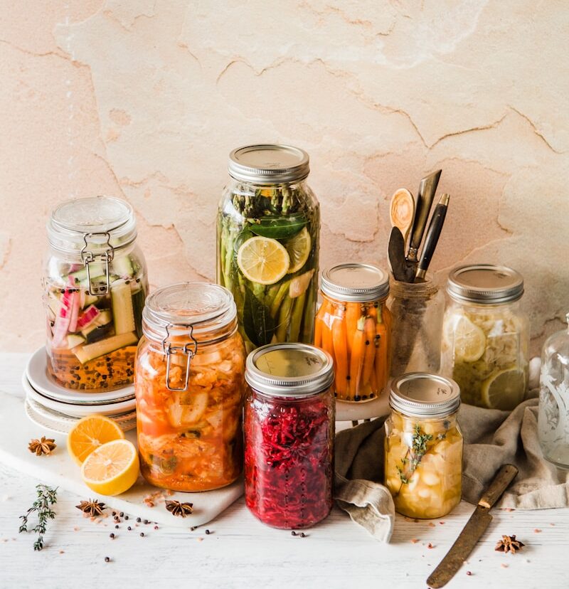 発酵・微生物の入門