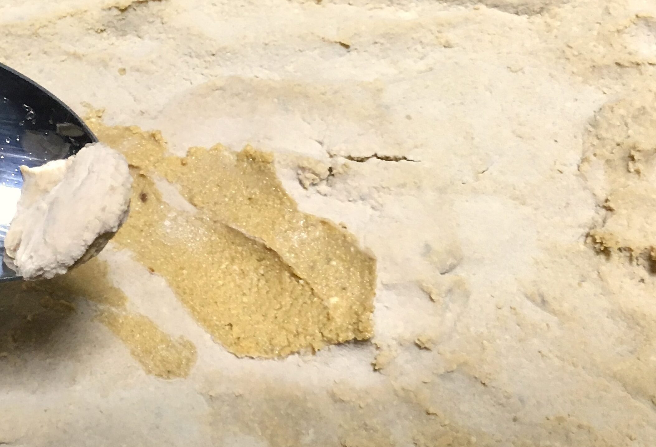 糠床の表面に生えた産膜酵母（白い膜状）